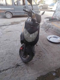 سكنس فحل • نضيفة • طافية