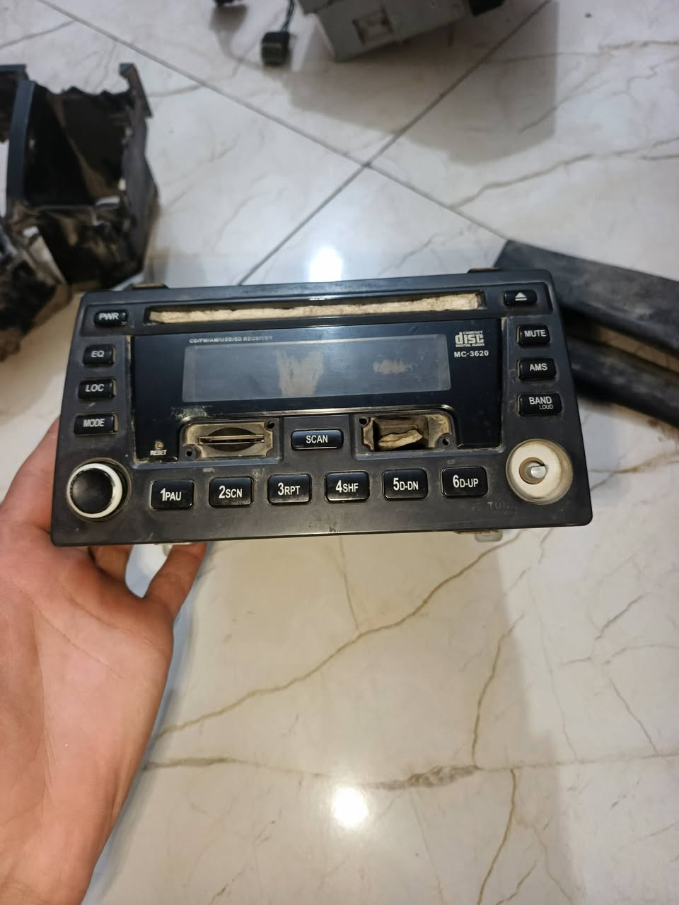 غراب • جيلي نوبل • الديوانيه