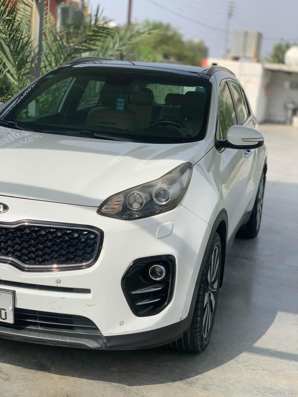 سبورتج جيتي لاين • ٢٠١٨ • جلد بنوراما