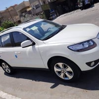 سنتافي • ٢٠١٢ • رقم اربيل
