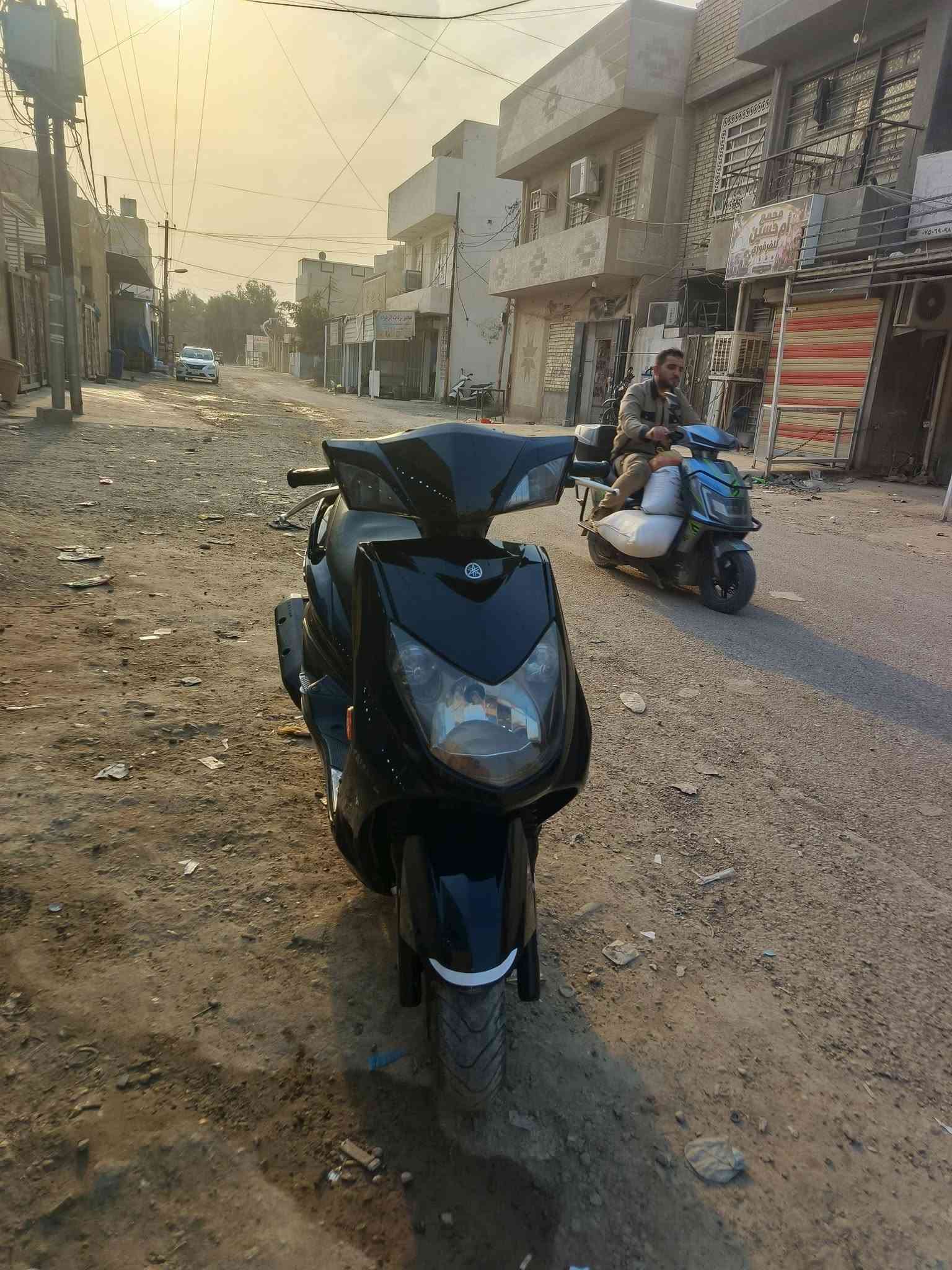 سكنس فحل • خمسينة • اوارق كامله