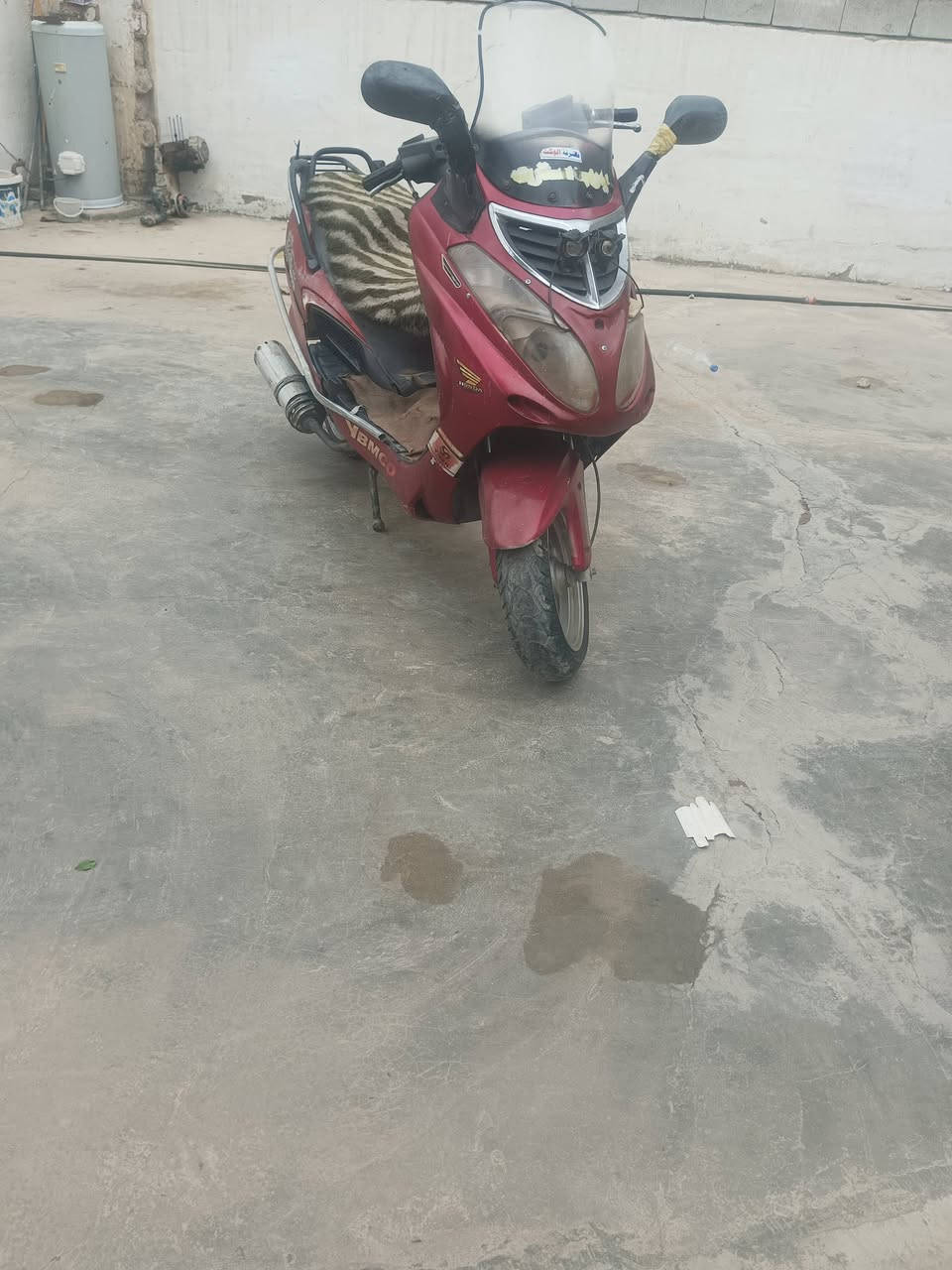 يوبن 13ارنب • سلف • مستعجل
