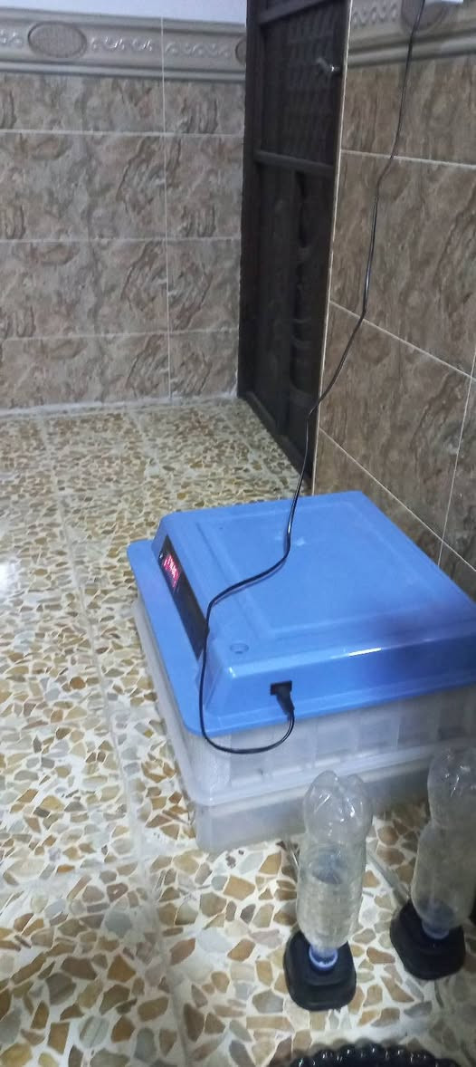 مفقس بيض • ١٢٠ بيضة • دواجن