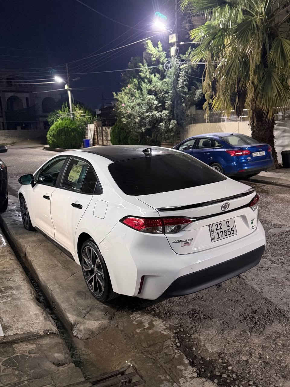 ٢٠٢٥ • فيروزي • أربيل
