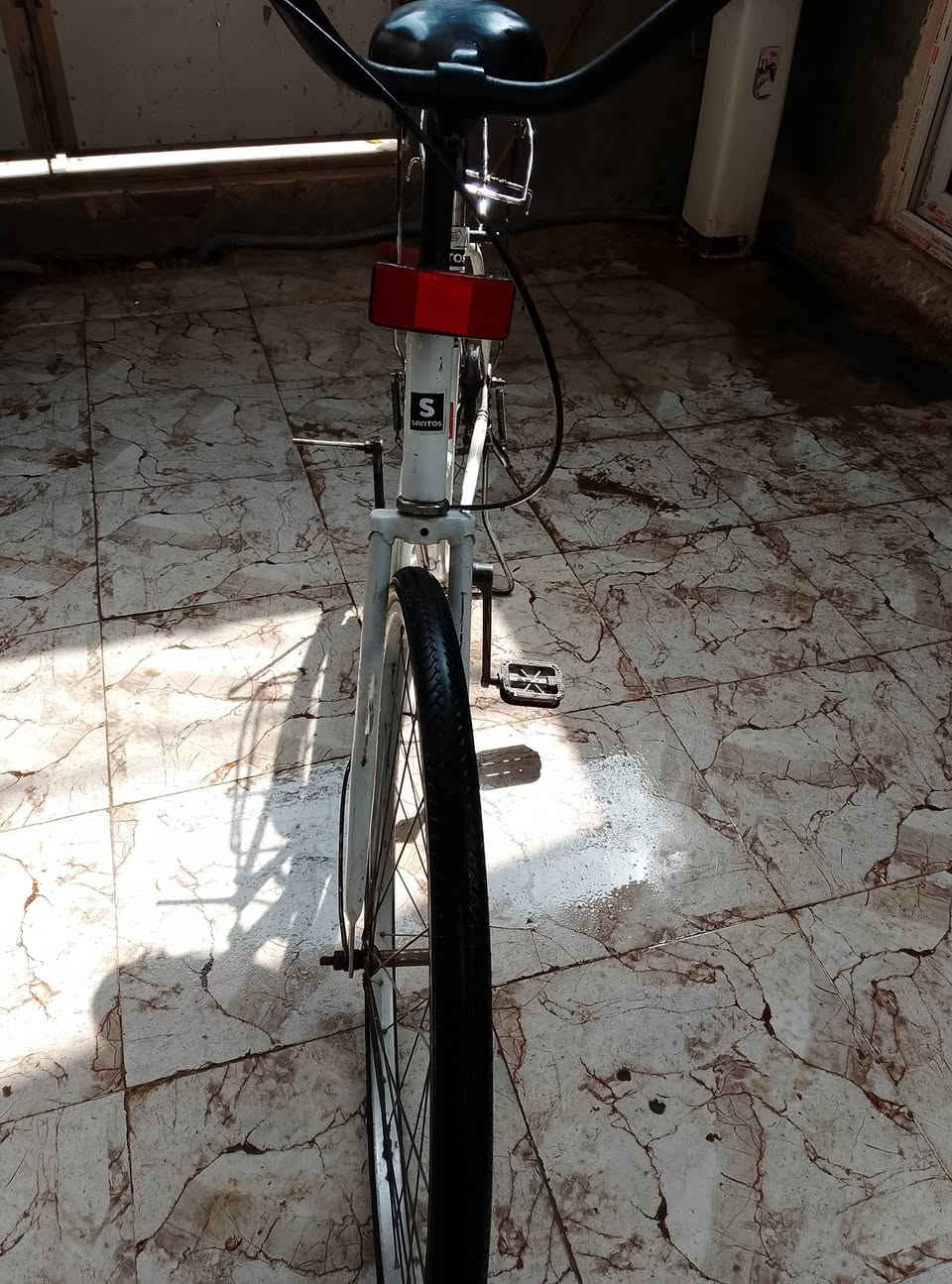 سانتوس • ٢٠١٩ • مصبوغ