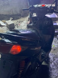 سكنس فحل • ما مفتوح • مكفول