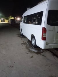 فتون عاليه • ٢٠١٥