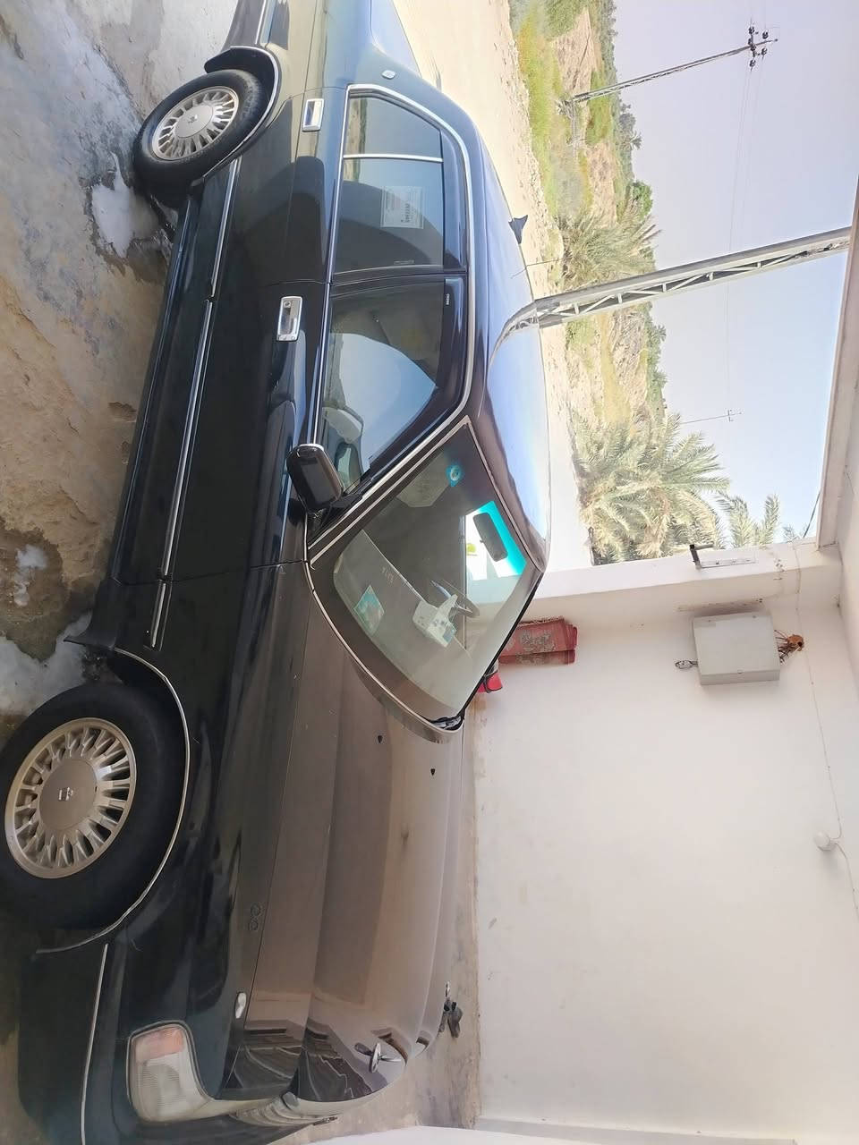 سلام عليكم البيع ارنب مديل 94 رقم بصره نكليزي 
مكينه وكير كفاله 3000
حداديه و تواير كهربايات جدد
سياره بلاديه مامصبوغه فقط جاملغ خلفي صبغ
سعر64وبيه مجال 
مكاني ناصريه البطحاء
ستفسار ***********
اذا مراوس براس ثور تكم بلات عادي

نص مكتوب في الصور:
- 205/65R15