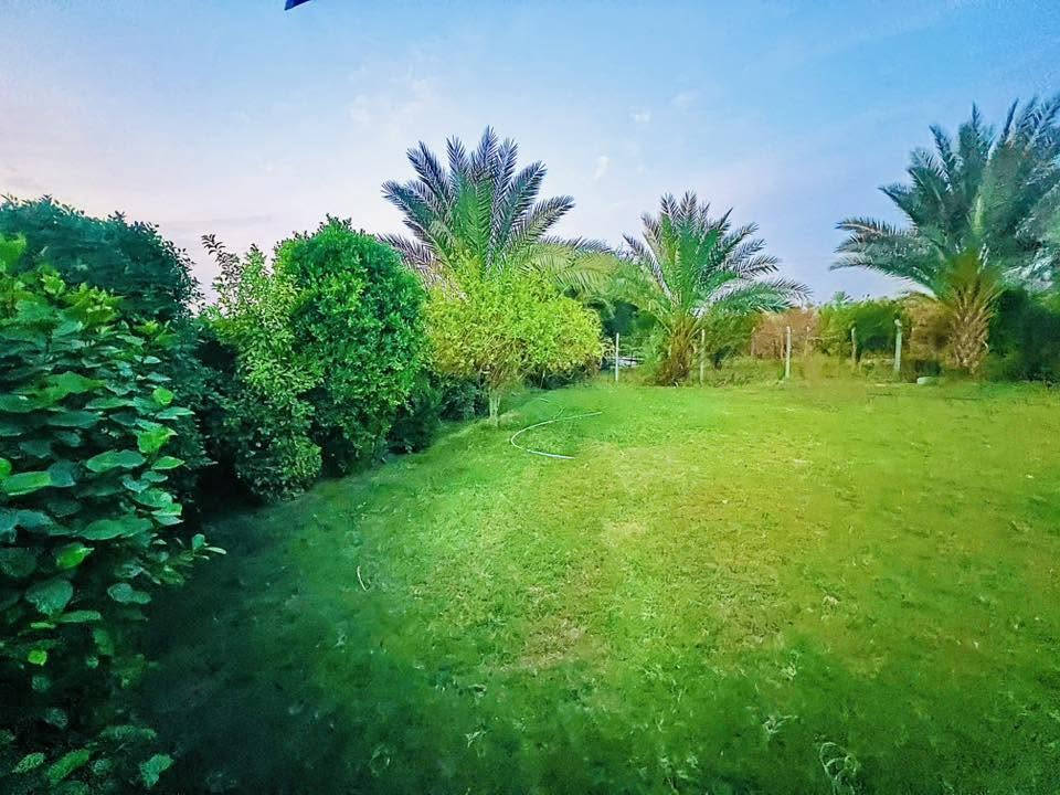 السلام عليكم  
قطعة ارض 4 دونم مع بيوت عدد 2 للبيع 
الواقعه في الحيدري بيت سعد البعيجي 
قرب ثانوية الحيدري المختلطة
الارض عقد 125 مساحة 4 دونم
الارض تحتوي علئ 
بيوت عدد 2
حديقة كبيره واجهة البيتين
سياج سيم BRC محيط القطعة
موطور هندي فلاوين 
موطور كهربائي ابو ال 3
الشارع قشط تبليط
و باقي التفاصيل موضحة في الصور من اشجار و نخيل التربة خير من الله حلوه 
للاستفسار عن السعر او اي تفاصيل اخرى الاتصال 
***********
***********
