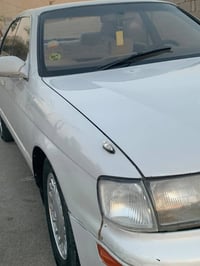 بطة • تحويل • مكفولة قص وصبغ