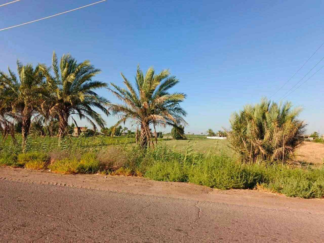 السلام عليكم 3دوانم ونصف عقد 117 في ابو غريب منطقه الحمدانيه الهيتاوين قريب المستوصف مباشر  على الشارع العام التبليط  وشارع خلفي تبليط كامل خدمات كهرباء وماء سقي وماء اساله سعرهن  135مليون(كلهن )وبيهن مجال  للاستفسار ***********
