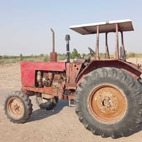 بلاروس • ٢٠٠٣ • ميسان العمارة