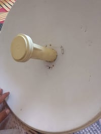 نانو • شغال • ضربه