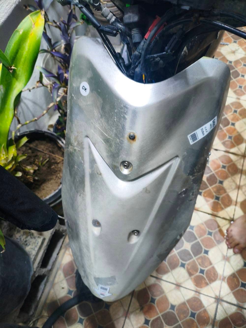 سلام عليكم  دراجه عصفوريه للبيع دراجه طبيت بطسه اوطفت السعر 100 بيها مجال تواصل واتساب  على  رقم ***********