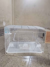خانة • حيل نظيفة • بيت تكاثر