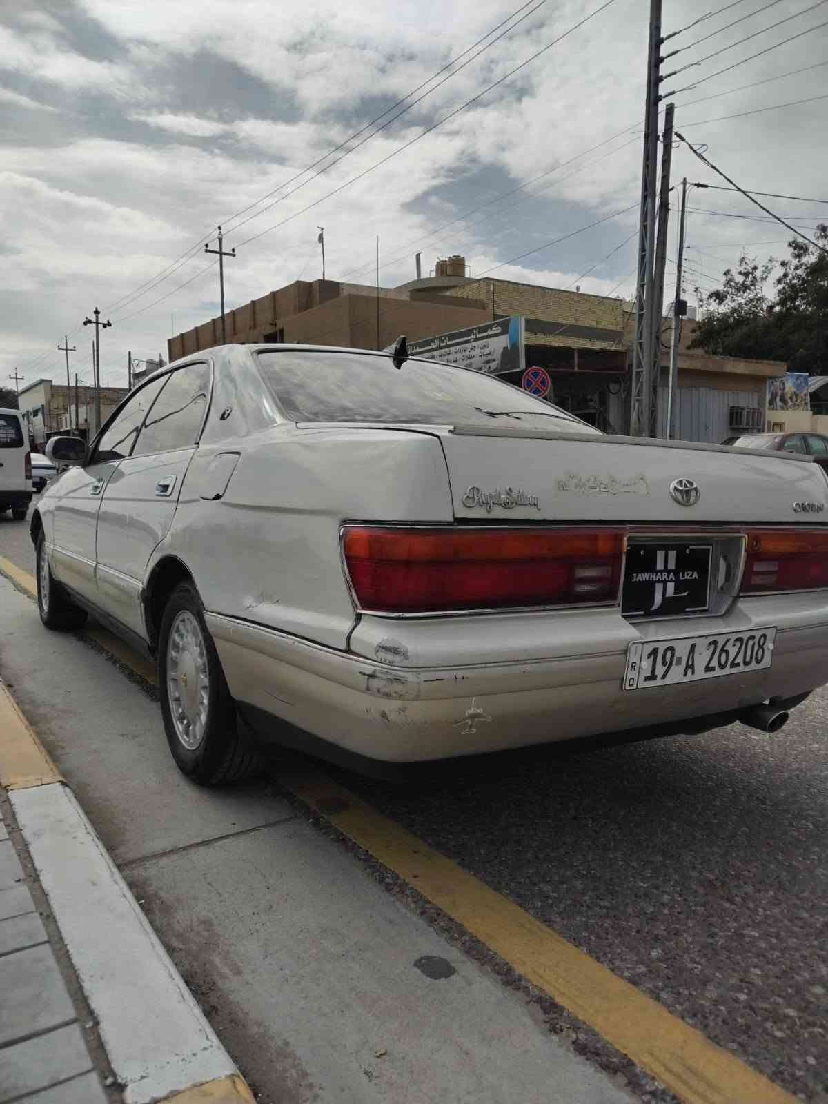 بطه منفصل • تبريد ثلج • ١٩٩٤
