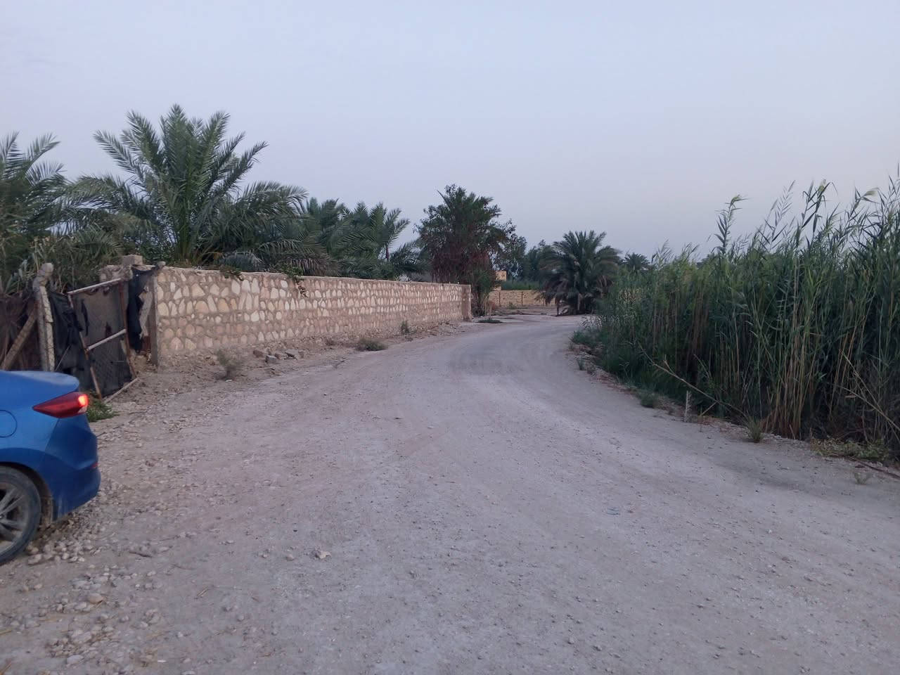السلام عليكم
نصف دونم  زراعي سند ٢٥ 
المساحة 1250 م 
الواجهه 20 م ونزال 60 .
ماء وكهرباء شارع 10 م
العنوان الهاشمية.طريق حلة ديوانية. شارع بيت عبد الحسين قرب كافية نخيل
للاستفسار ***********
