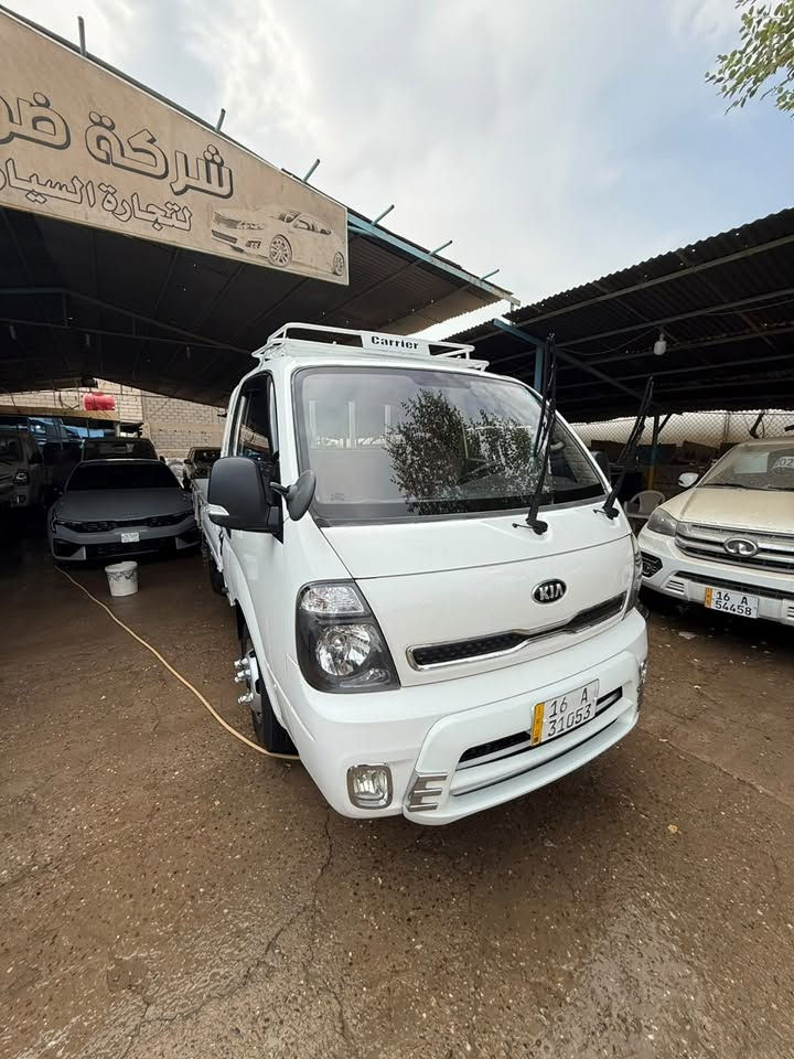 بيكانتو • ٢٠١٩ • رقم قادسية