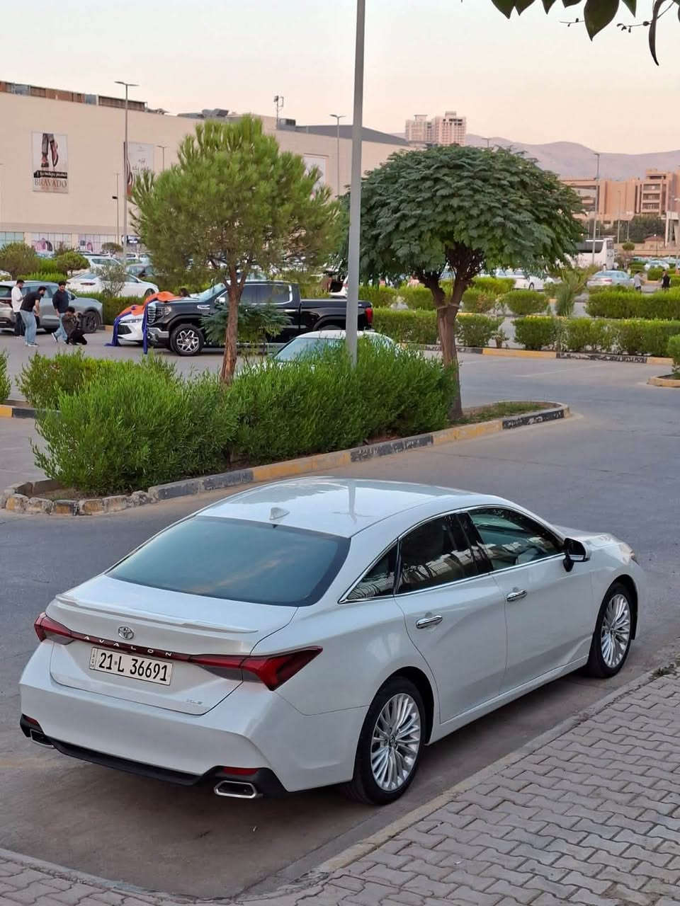 افالون XLE • ٢٠٢٢ • وارد امريكي