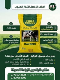 بذور جت قيسري • نقاء ٩٩%+ • إنبات ٨٥%