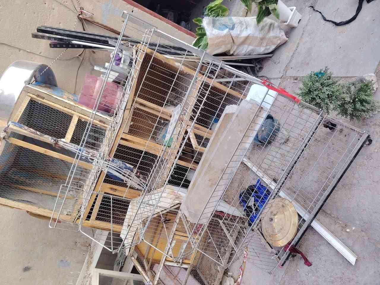 عندك محل عندك اسواق 
ذني👇 يفيدنك

2 ميوزه المنيوم درجة اولى سراي تركي مال محلات طول الواحد 3 متر 

2 عارضات سل ستيل الاصلي ثقيل جدا بيهن تايرات شغل مضبوط 
 
الميوزه الواحد 125 الف
والعارضات الوحدة 60 الف

***********
