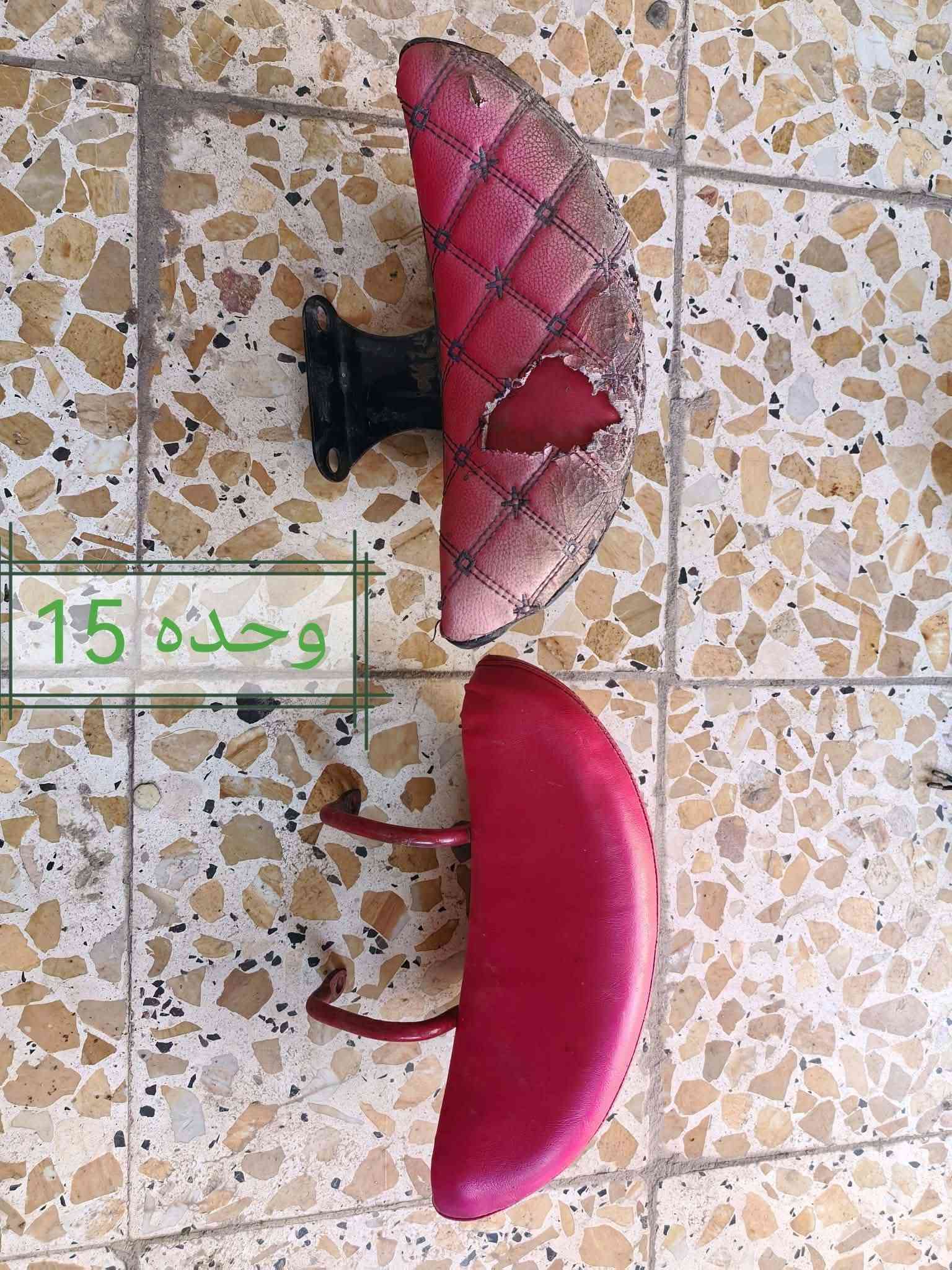 قطع سبيسي • ماصده ياباني • شوتة مالیزی