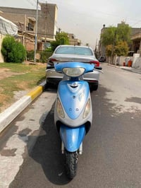 ماكس منغولي • نقص قبق • صوت سنجيل