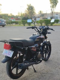 شاينك • ٢٠٢٥ • بي اوراق