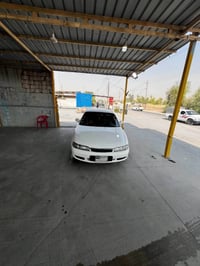 حزام سبوخه • سليماني • واتساب