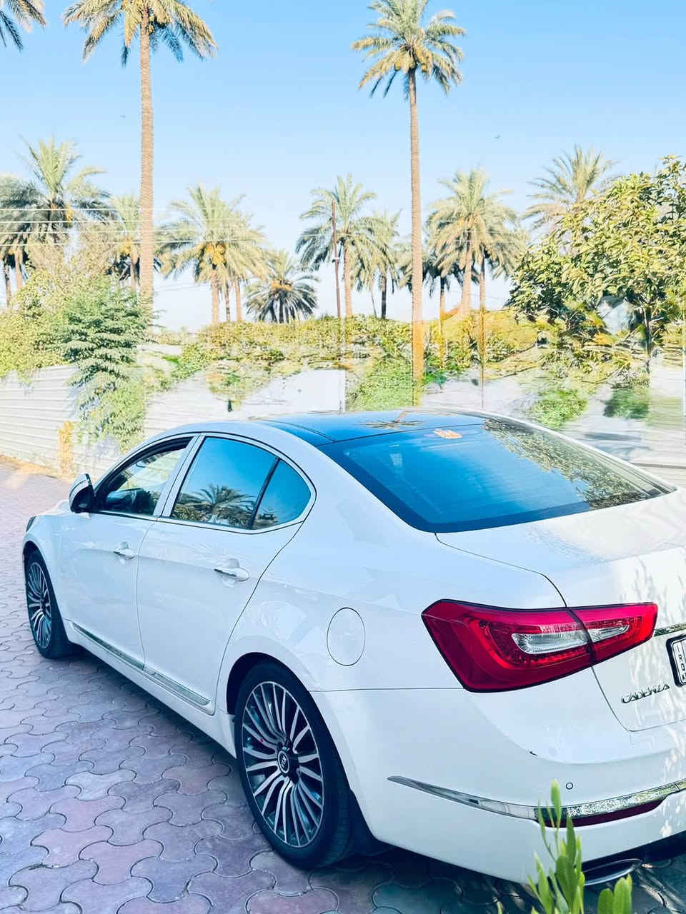 كادنزا • ٢٠١٤ • خليجي