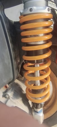 سكنس فحل • دبل مراوس • جبلي