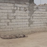 قطاع ١٠ • ٢٣٠م • أرض مسيجة