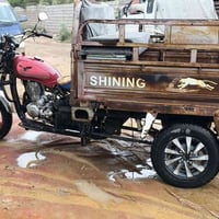 ستوته ام طير • ٢٠١٥ • ٢٤