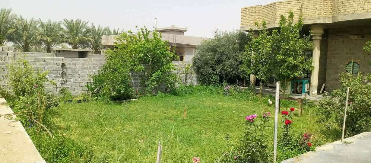 أبو سديرة الأولى • ٧٤٠م • طابو زراعي كامل
