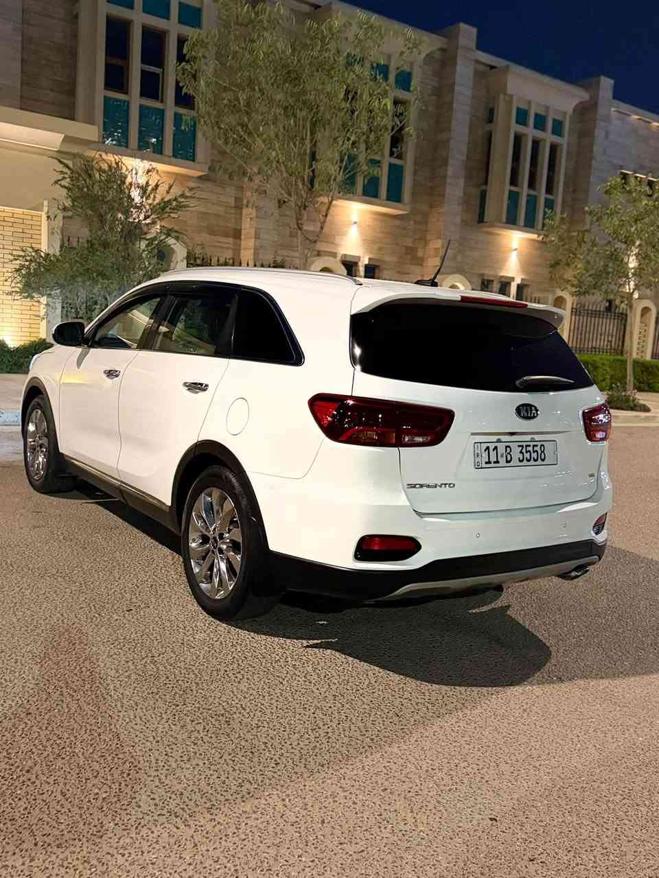 ٢٠١٩ • ٦ سلندر • ٧ راكب