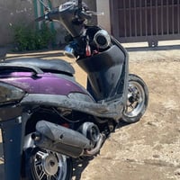 ماكس عدلة • ديالى • شراي