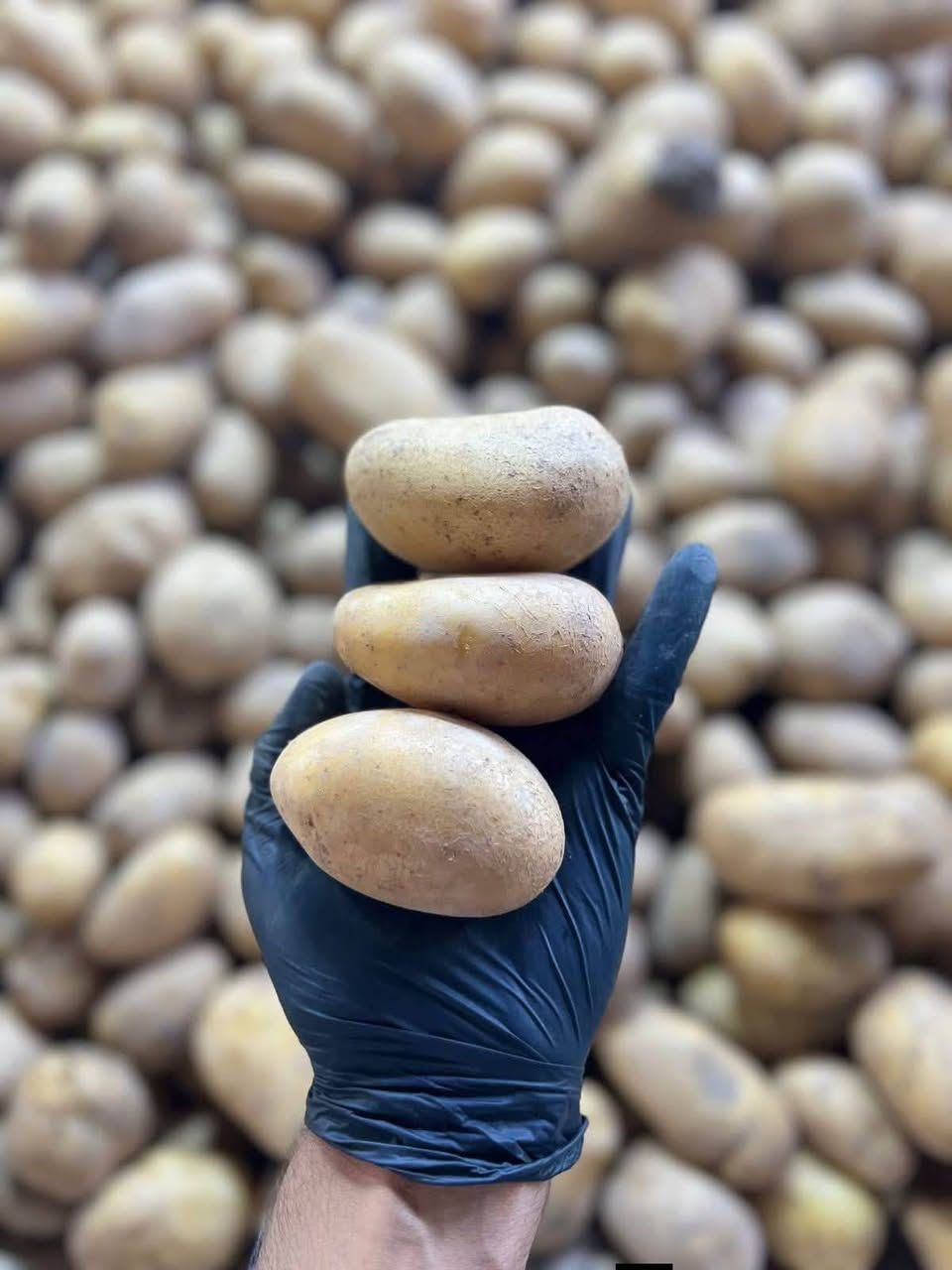 ماكو داعي تطلع للسوق بالحر والازدحام !
خضارك 🥦 وفاكهتك 🍓 توصلك لباب البيت 😌

اطلب الان المسواك الي تريده من طويريج دلفري
 وخليك مرتاح بالبيت 🍏🍋🥑

كل شي طازج وفريش يوصلك جاهز ونظيف
واي شي مايعجبكم يرجع مع المندوب .

التوصيل داخل طويريج والمناطق القريبة📍
وقت العمل من الساعة 8:30 صباحاً لغاية الساعة 12:00 منتصف الليل.
اطلب الان على الواتساب: ***********
طويريج دلفري ... خليك مرتاح 😌
#طوريج_دلفري #توصيل #طويريج #طلبات
