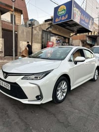 كورلا • ٢٠٢٠ • رقم اربيل
