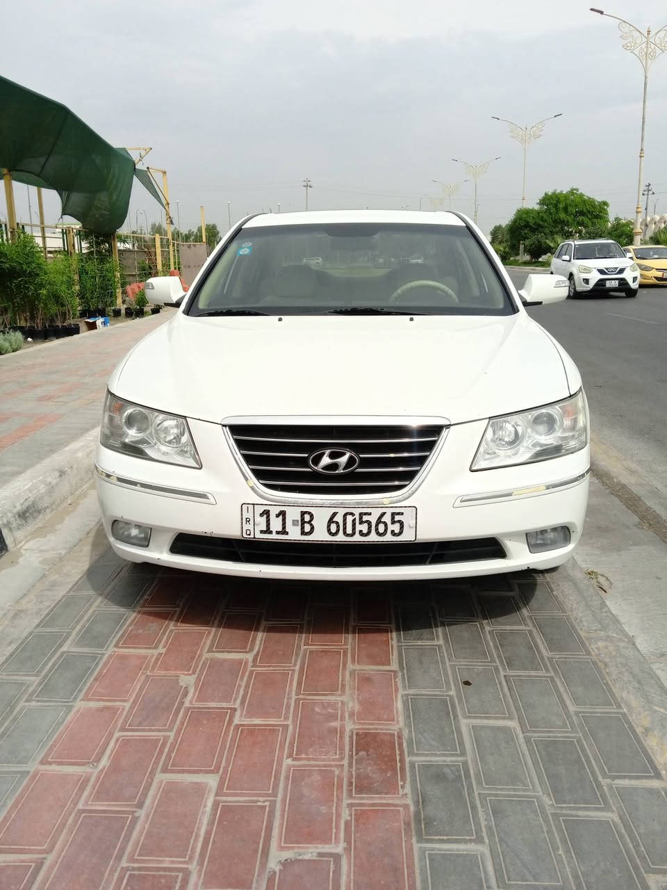 سوناته • ٢٠١١ • رقم بغداد