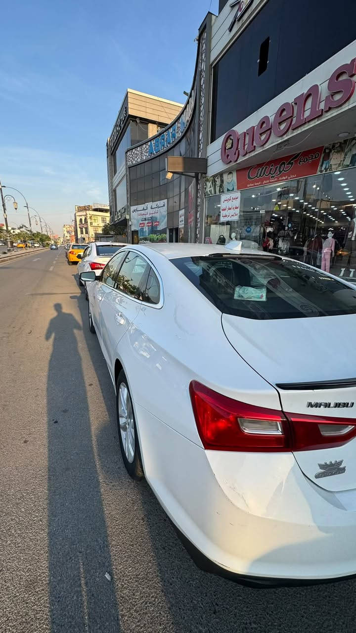 للمراوسه • ضرر • بارد