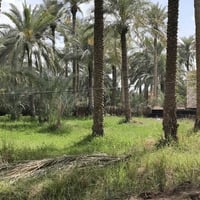 حي الحسين • ٣٤٠م • طابو