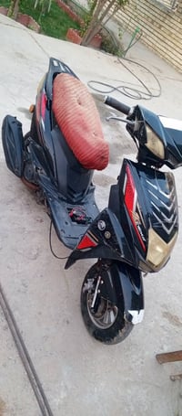 سكنس • اربعه گير • اوراق