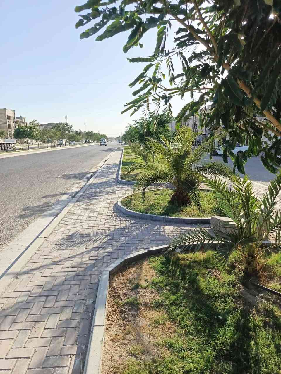 حي الجهاد • ١٠٠م • ٣غرف