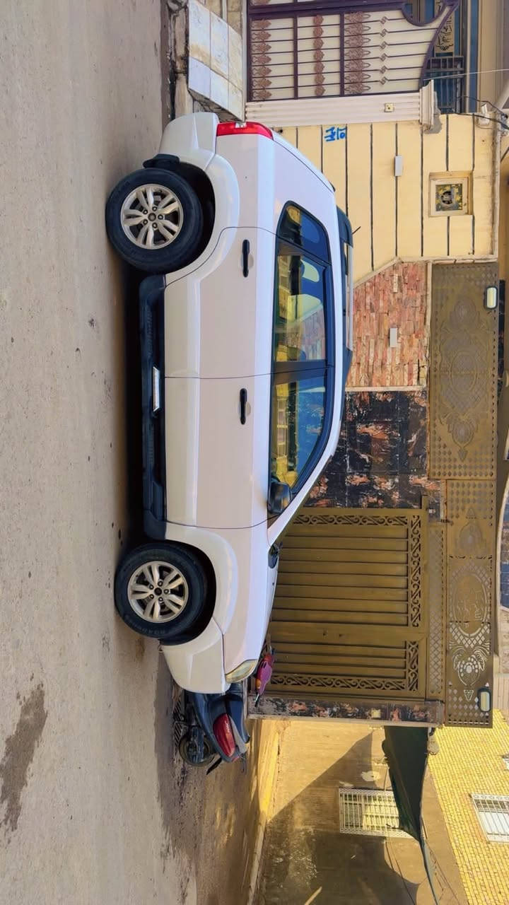 توسان • ٢٠٠٩ • بدون صبغ