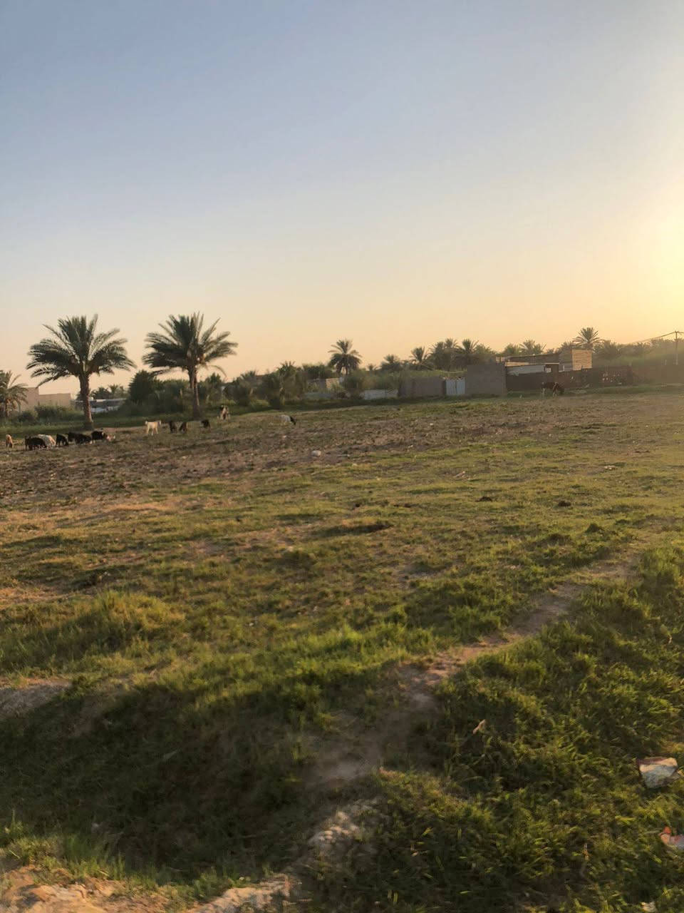 السلام عليكم
موجود دونم ونص
خلف سيد سهل
طابو زراعي سند ٢٥ مفوض بالطابو
القطعه بيها شارعين
كل شارع بيها ٥ متر عرضه
ماء اسأله وماء سقي
وكهرباء وطني ومولد تبعد عن الشارع التبليط تقريب ال ١٠٠ الئ ١٥٠ متر
للأستفسار أكثر الاتصال على الرقم
***********

