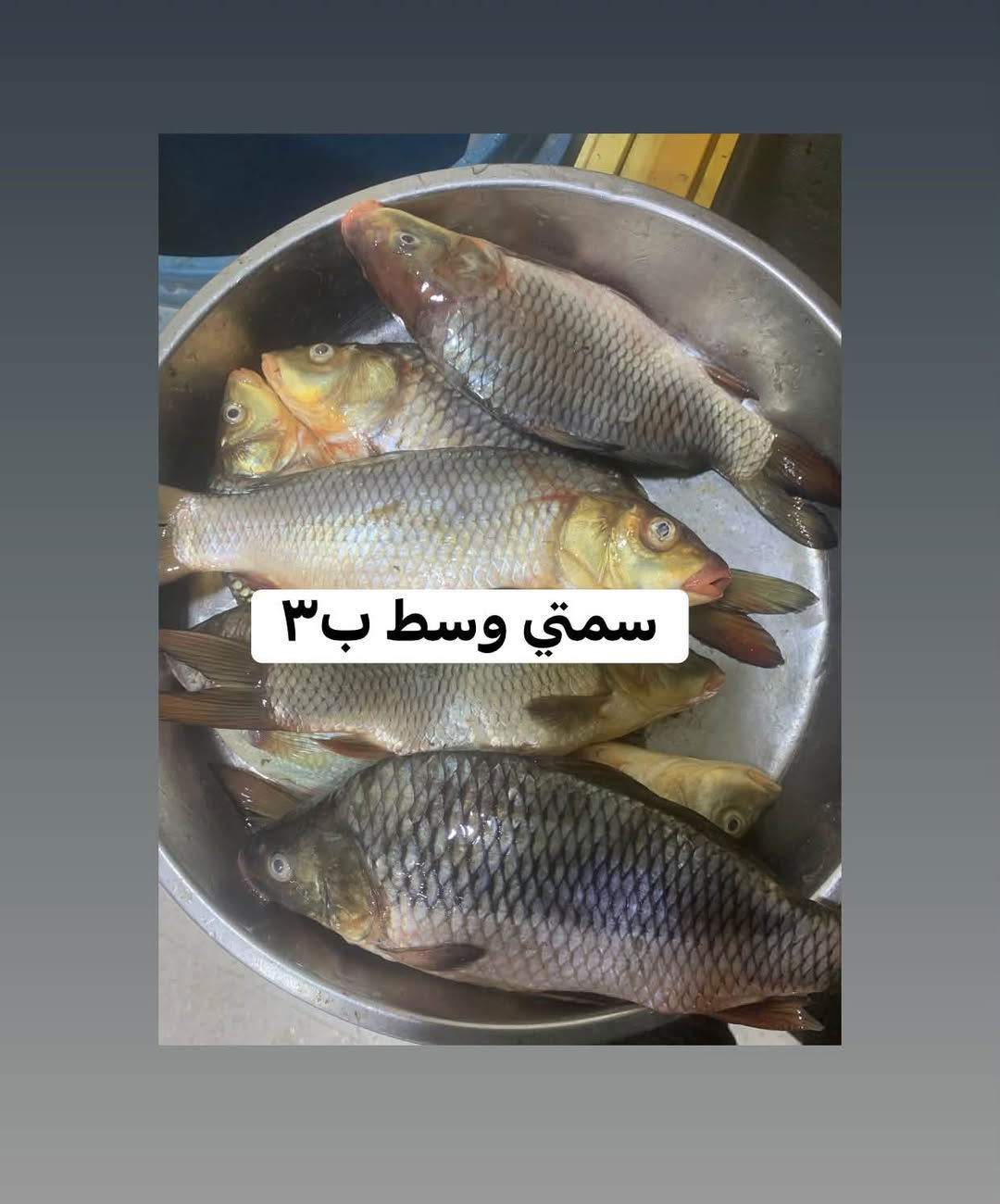 الكفاءات • توصيل • سمتي