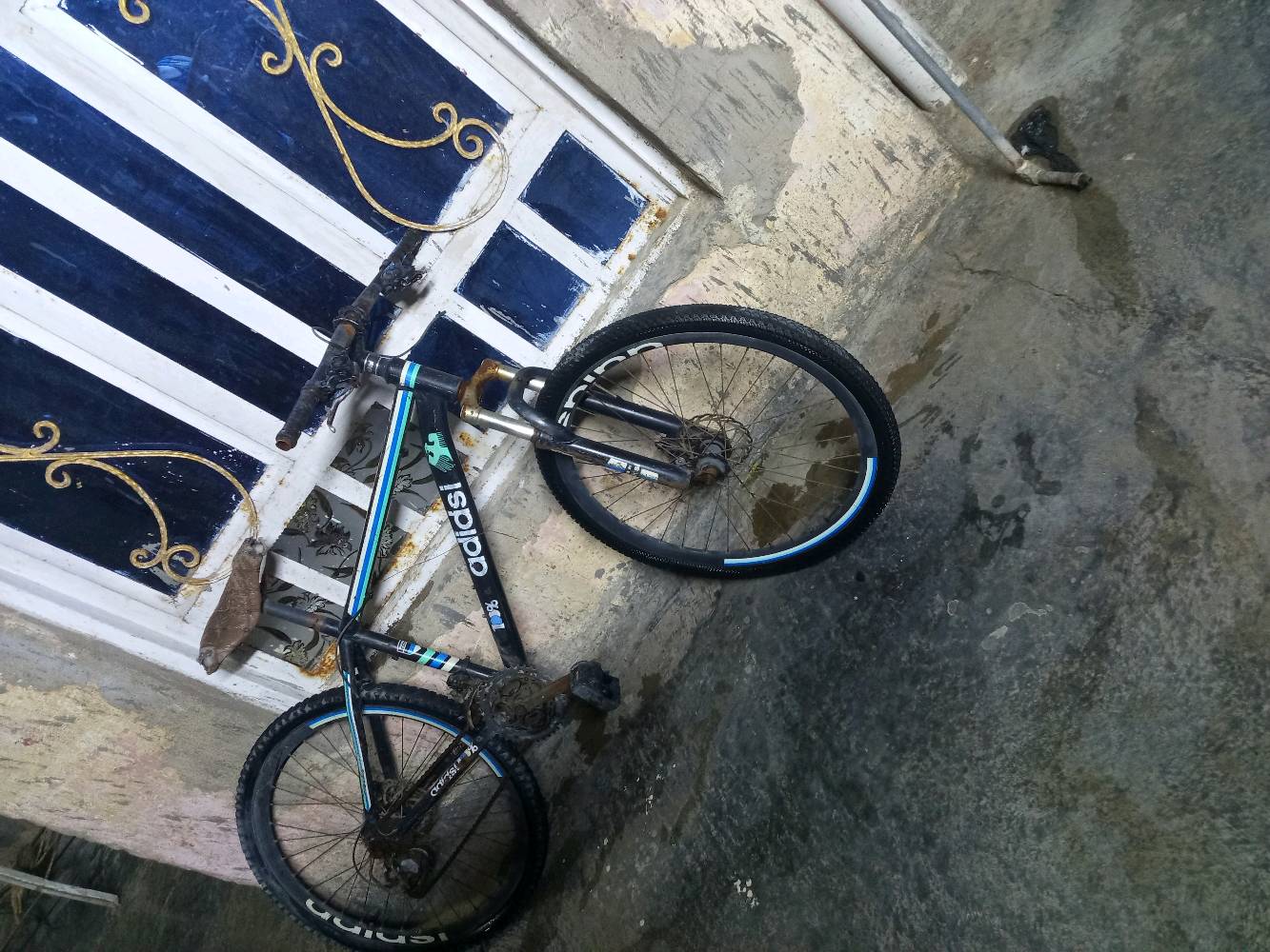 ستفصار على هذا اليوزر@mese_i التلي سعر 30الف وبي مجال عنوان بغداد الحسينيه راشديه الجريخي