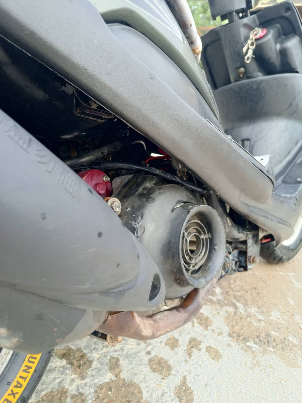 ماكس • مجال قليل • بيهة