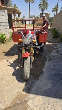 ستوته • دايوان • ٢٠٢٥