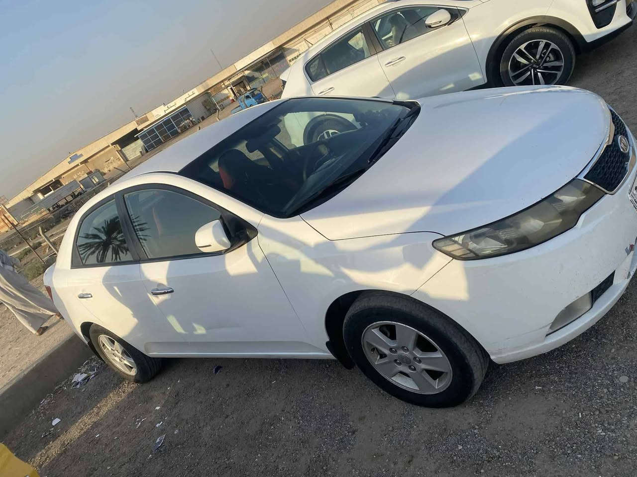 سيراتو • ٢٠١١ • محمودية